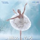 서울시티발레단 동화발레극 ’백조의 호수’ 이미지
