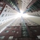 세림펠리체 이미지