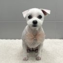 포에버위드유 이미지