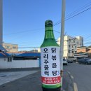 읍내동거기