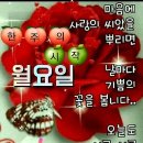 신시로16길 이미지
