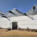 잉꼬농장 | 강서 서울 근교 부천 아이와 가볼만한 곳 나눔농장 방문기