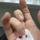 비잔정 먹는 직장인의 평일 퇴근 후 전혈 헌혈 후기