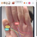 [하루손금 후기] 생년월일 없이 오직 손금 사진으로만! 개인정보 걱정 없는 신기한 AI 운세 체험