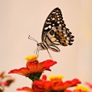 옥계매점식당 이미지