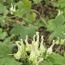 진범 농장 이미지