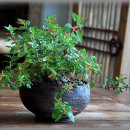 아름다운사람들 이미지