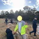 장수원목장 이미지