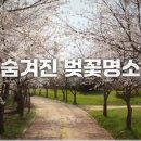 드림파크 이미지