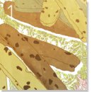 마뜨아밈 이미지