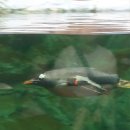 2025 국립생태원 체험활동보고서 1422 최이경 이미지