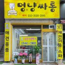 멍냥싸롱 이미지