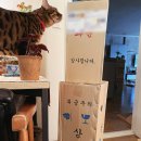 범수네농장 이미지