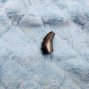 다비치히어링 대전노은역점 | 인천보청기 정부지원금 서류까지 함께 준비해요! 스타키 실착용 후기!