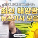 이보라미 전남도의원 절대농지 태양광 발전시설 제동장치 마련을 태양광기사 이미지