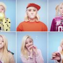 마이비