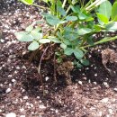 초읍초등학교 이미지