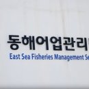 동해-단속-50 이미지