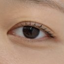 한세대학교 치료상담대학원 | [군포 속눈썹펌] 당정에서 속눈썹펌 제일 잘 하는 곳 비비뷰티 솔직후기