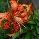 송정경노당 이미지