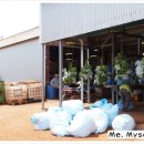 부연농장 이미지