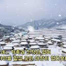 풍성식당 이미지