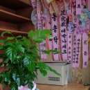 자등숯불갈비 이미지