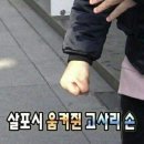 백일홍스테이 이미지