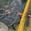 이화정파크 이미지