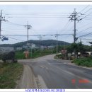 덕지농장 티스토리