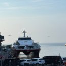 조원약국 | 지구놀이터 11기 울릉도&amp;독도 방문 후기