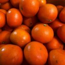 노지하우스 이미지