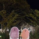 라떼온 | 춘천 감자밭 카페, 감자라떼 먹으러 또 온 후기