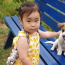 앤드퍼피 이미지