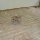 대전장대중학교 이미지