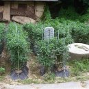 도당2리 이미지