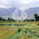 수광농장 이미지