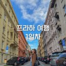 임페리얼여관 | 프라하 | 프라하 여행 1일차 코스, 프라하 Divinis 미쉐린 식당, 카페 임페리얼 후기, 리에그로비사디 언덕