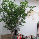 카이로스수학교습소 - 수성구 달구벌대로 3152 | 카이로스수학교습소