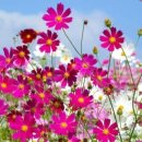 황토방민박 이미지