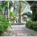 엔젤 식물원 이미지