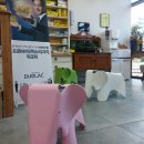 유성미래약국 이미지