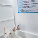 삼환 목욕탕 이미지