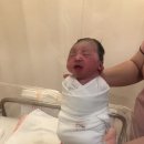 라포레캠핑장