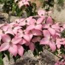 산진농장 이미지