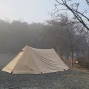 숲속의안뜰 이미지