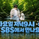 저녁은 배달의민족 교촌&amp;핏자요🤗 이미지
