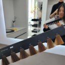 이선미 | 엘에스엠헤어셰입 이선미헤어에서 갈색톤 퍼스널 컬러 염색 후기