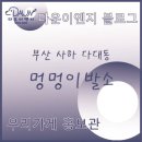 멍멍이발소 네이버블로그