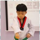 프리미엄 태권마루 태권도장 이미지